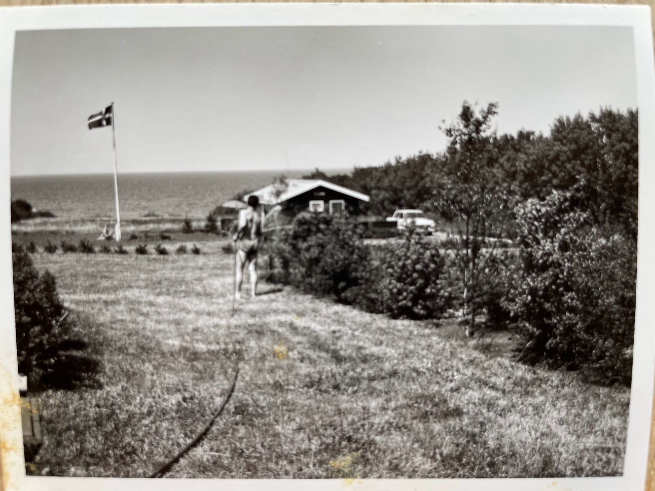 Et billede, der indeholder tekst, græs, udendørs, felt
Automatisk genereret beskrivelse