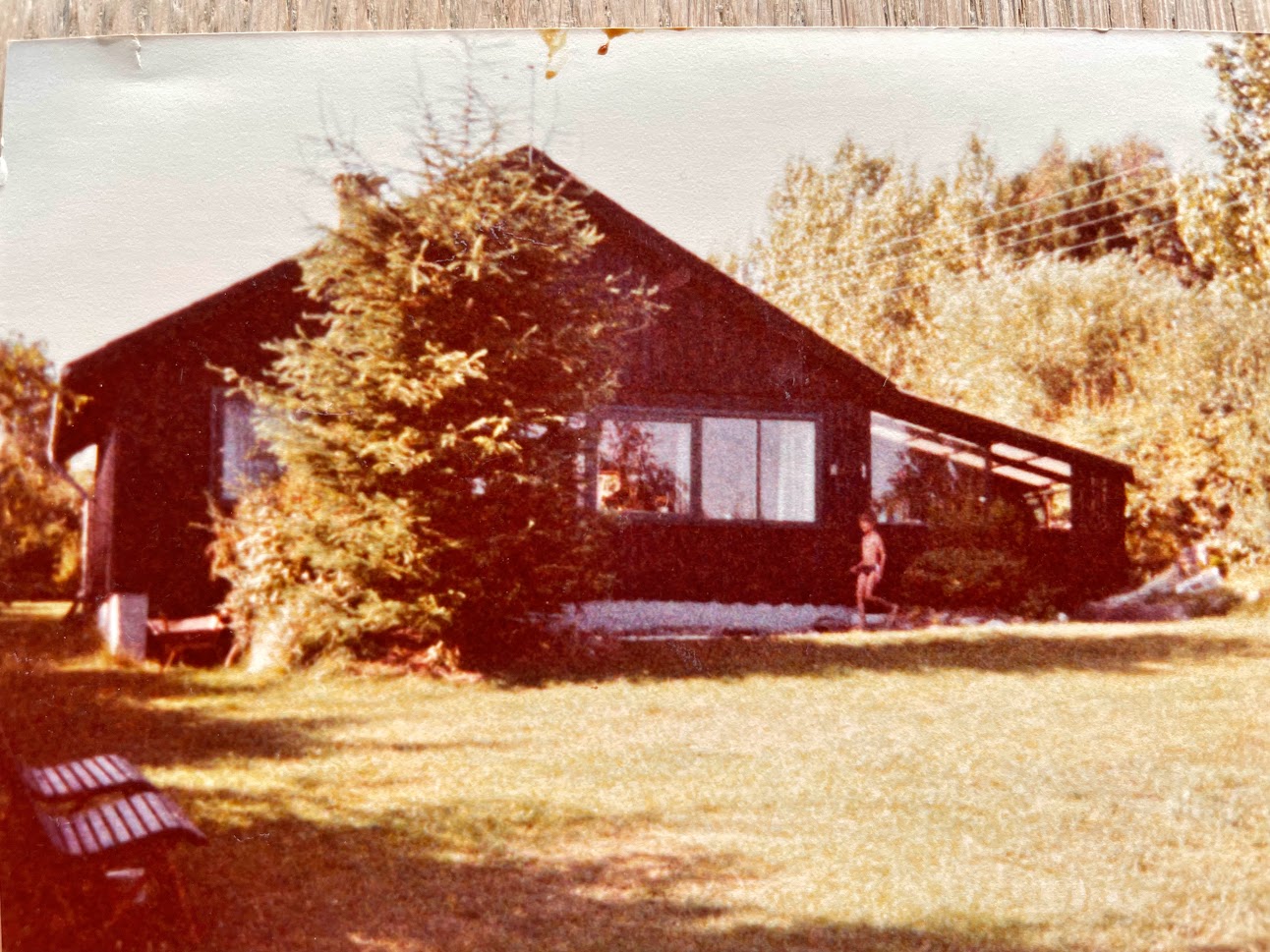 Et billede, der indeholder tekst, udendørs, træ, lade
Automatisk genereret beskrivelse