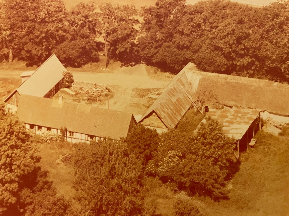 Et billede, der indeholder udendørs, bygning, træ, sky

Automatisk genereret beskrivelse