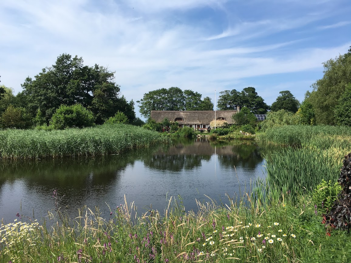 Et billede, der indeholder udendørs, græs, sky, træ

Automatisk genereret beskrivelse